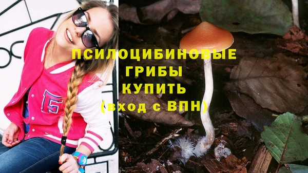 первитин Вязьма